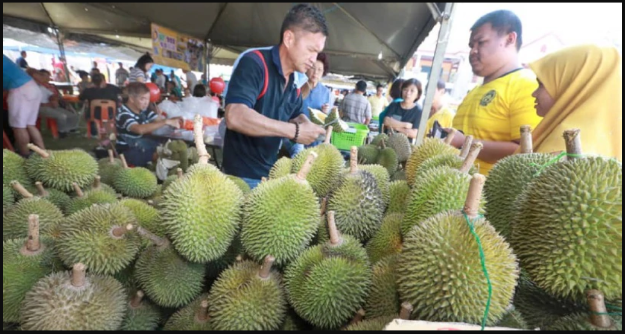 7 jenis durian popular kat Malaysia yang wajib diketahui hantu durian