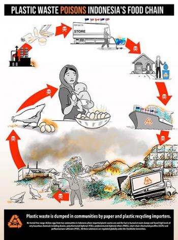 Infografik Pencemaran Plastik Rantai Makanan Indonesia