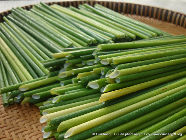 Straw Rumput Kercut