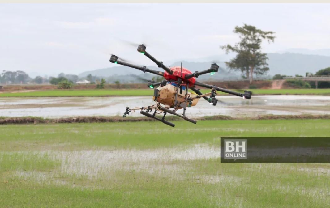 Dron Sawah Ladang Pertanian