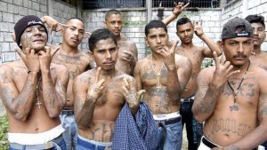 Como Opera La Mara Salvatrucha De La Que Uno De Sus Miembros Fue Apresado En Rd