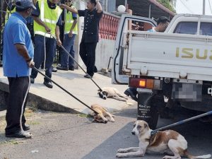 Kondisi Pasar Induk Tawau