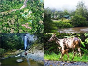 Danum Valley Conservation Area