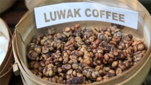 Luwak Coffe
