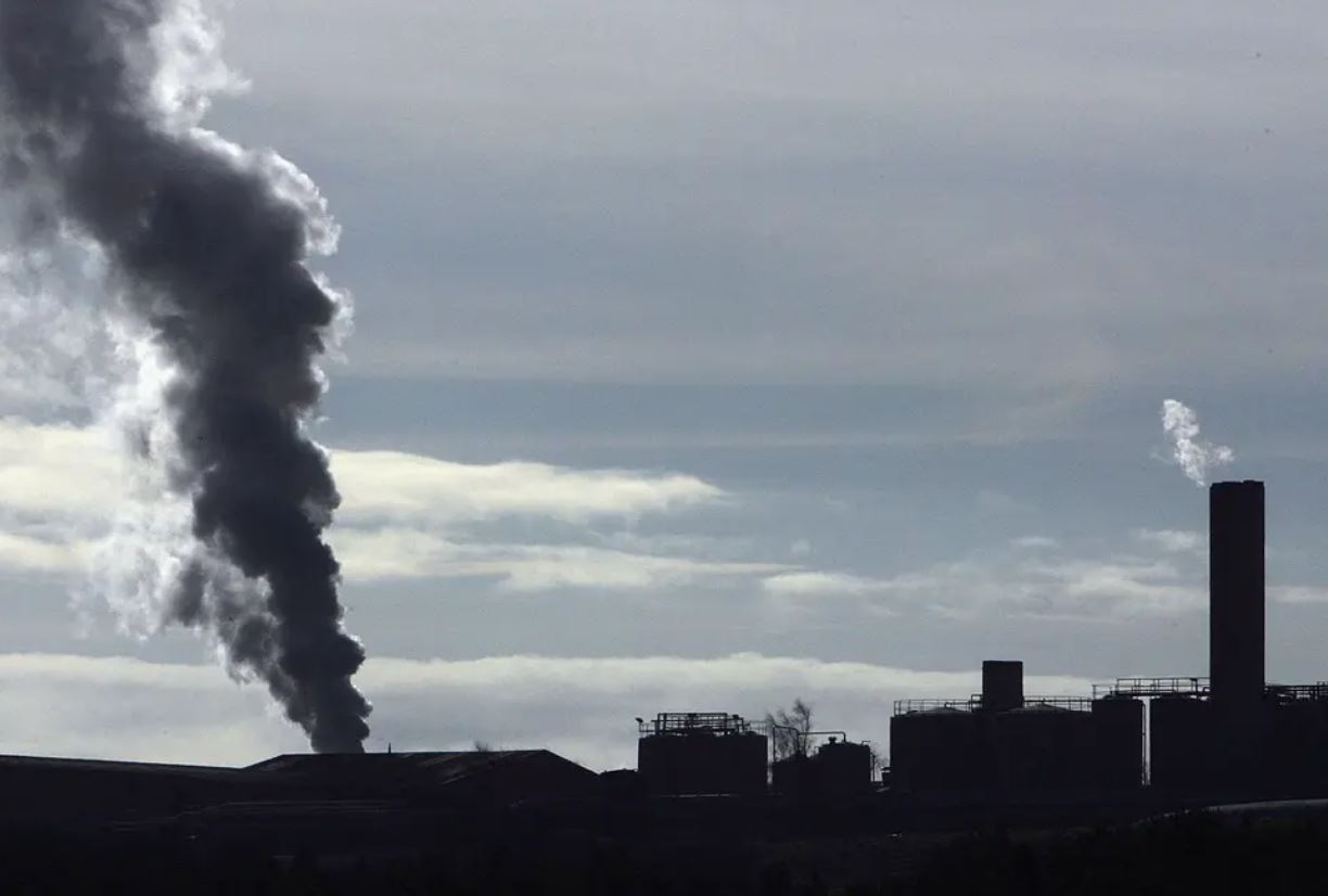 Incinerator
