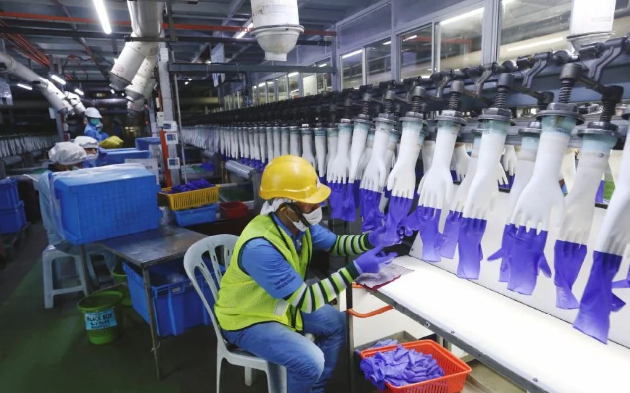 Top Glove Factory