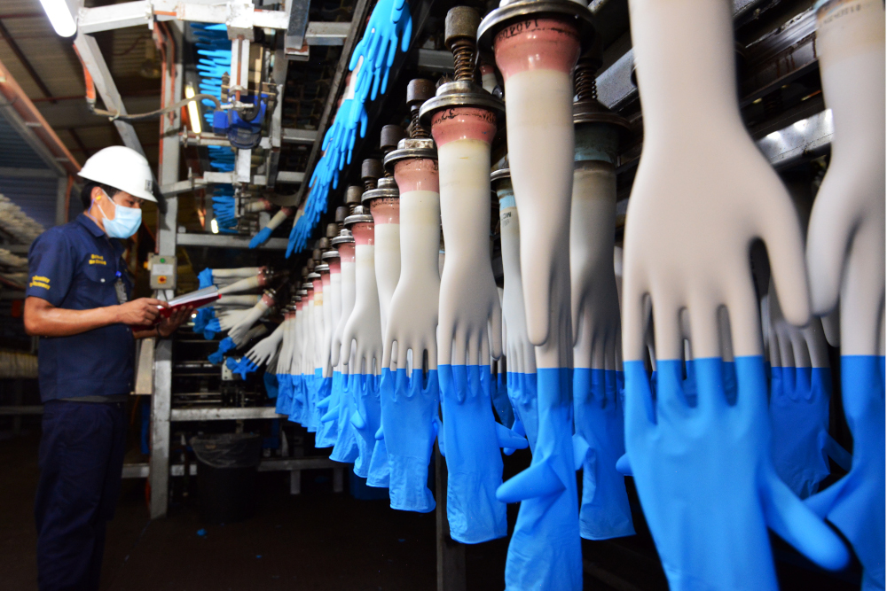 Top Glove