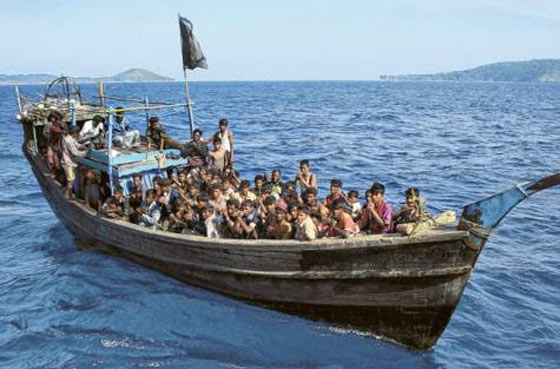 Rohingya Malaysia Bot