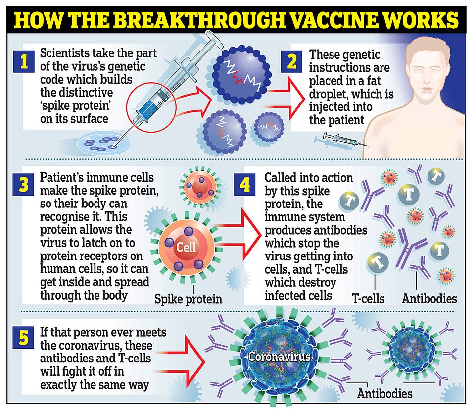 35743300 8954815 Moderna S Vaccine Works In The Same Way As The One Developed By A 88 1605561573022