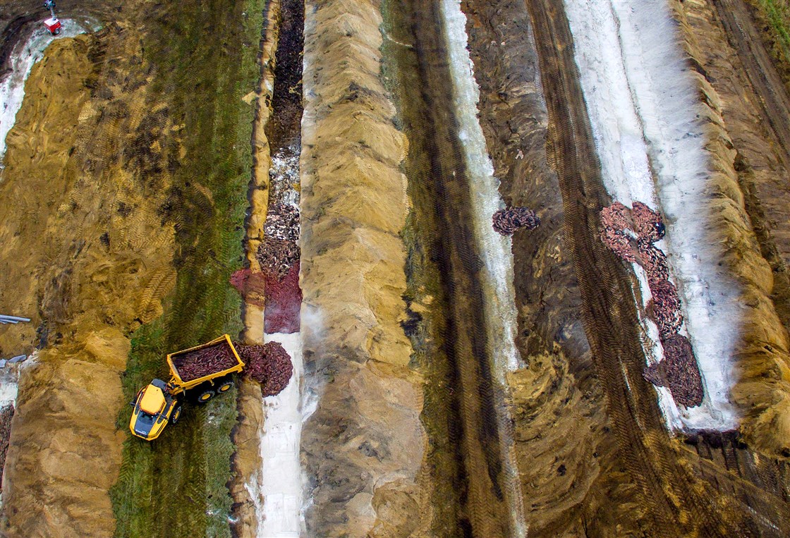 Mink Mass Grave