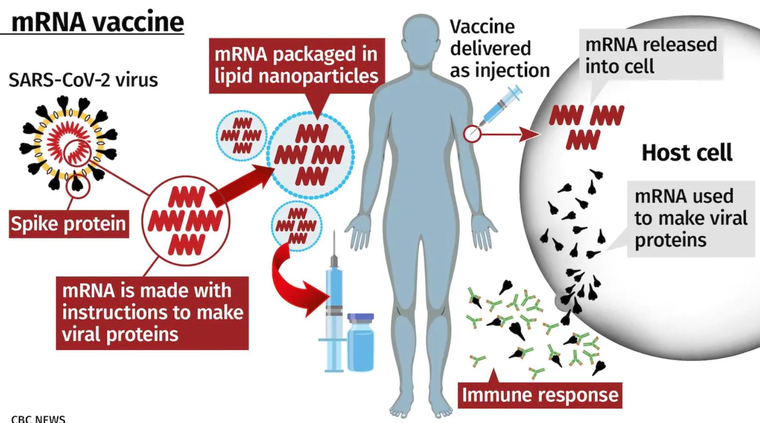 Vaksin Mrna