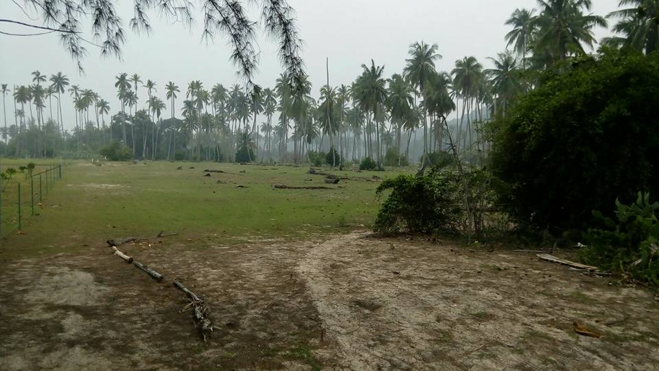 tanah rizab pokok