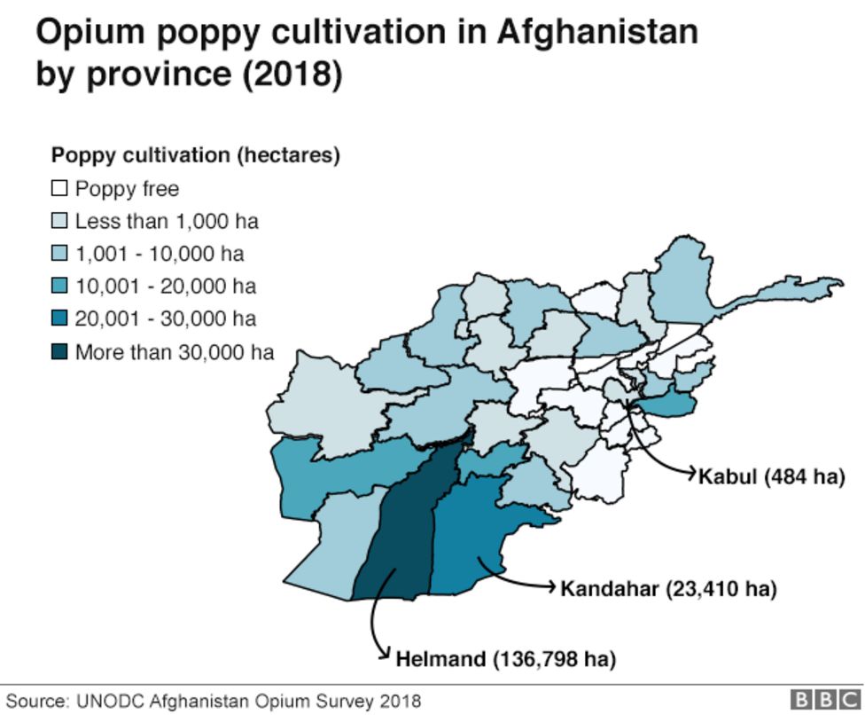 104773048 afghan chart