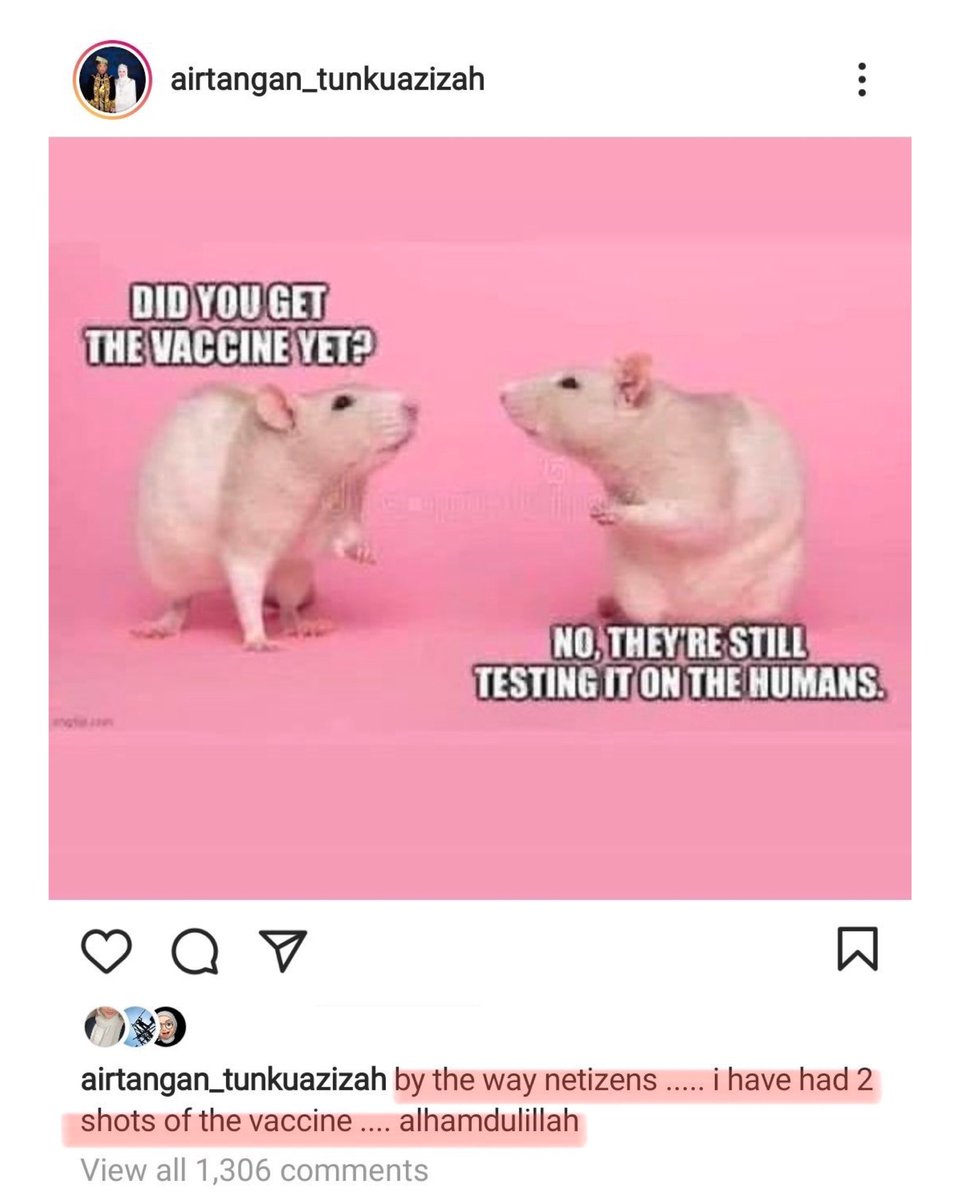 vaksin permaisuri tikus dengki ke