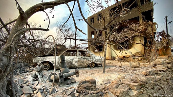 kalemler turki bakar hutan