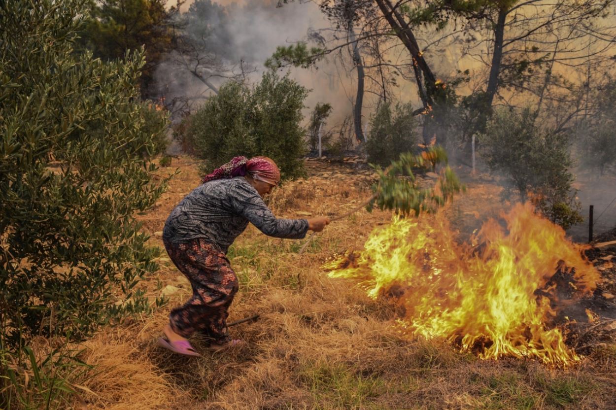 kebakaran hutan kampung turki