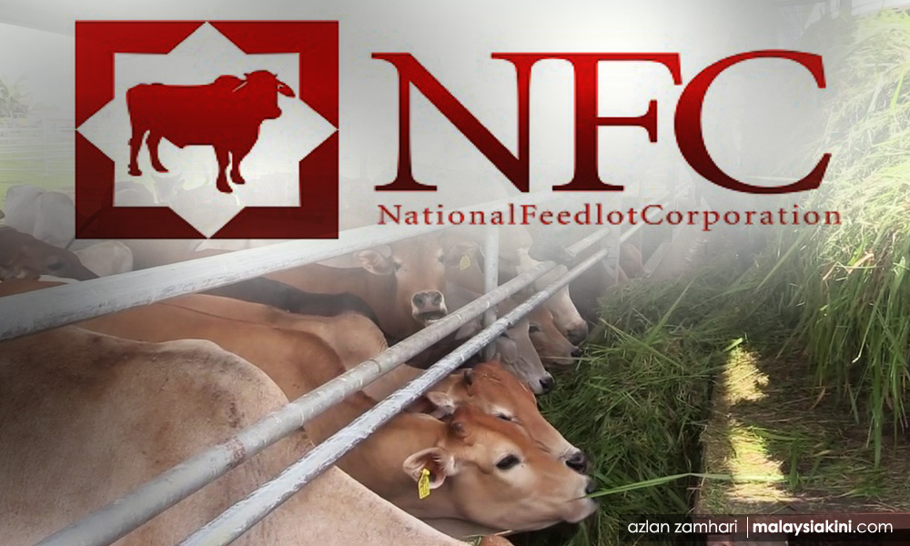 nfc skandal kewangan shahrizat