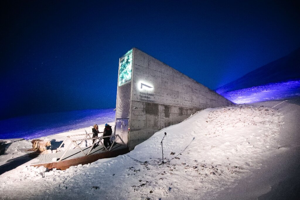 vault artic