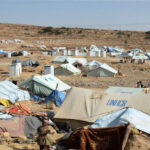 yemen