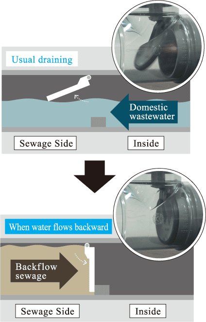 injap backflow