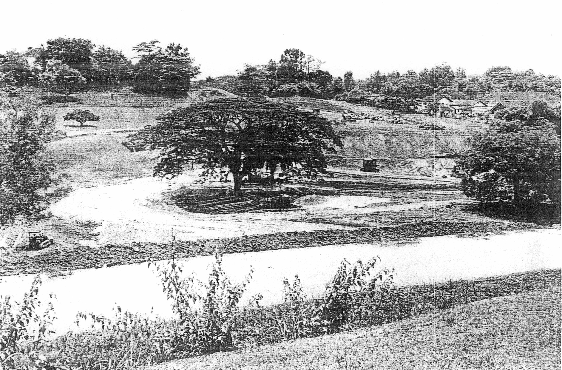 westfollyhill