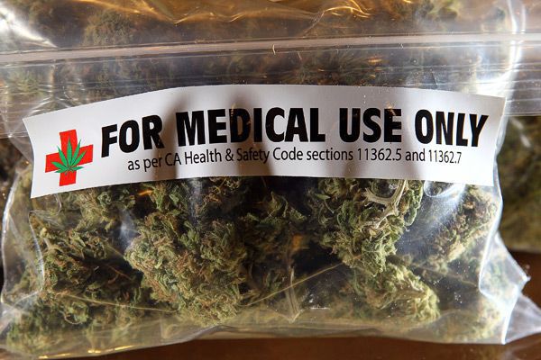 marijuana meduse