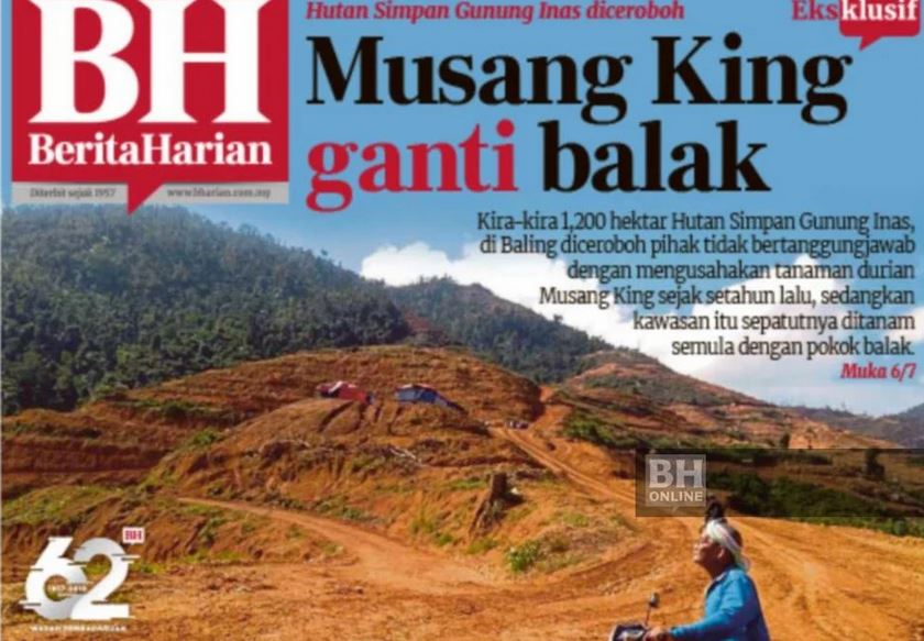 mukadepan bh musangking baling