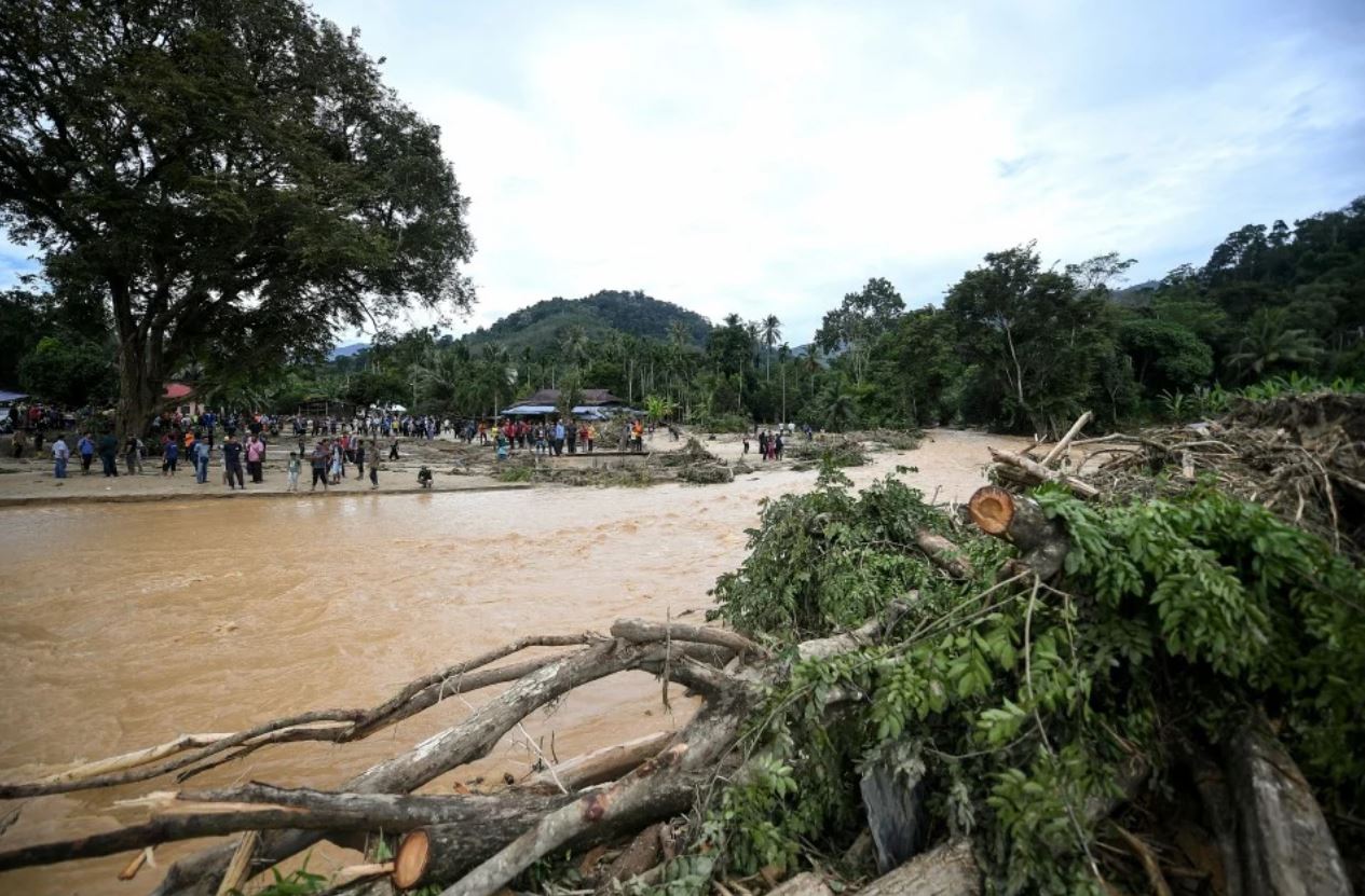 pokok banjir baling