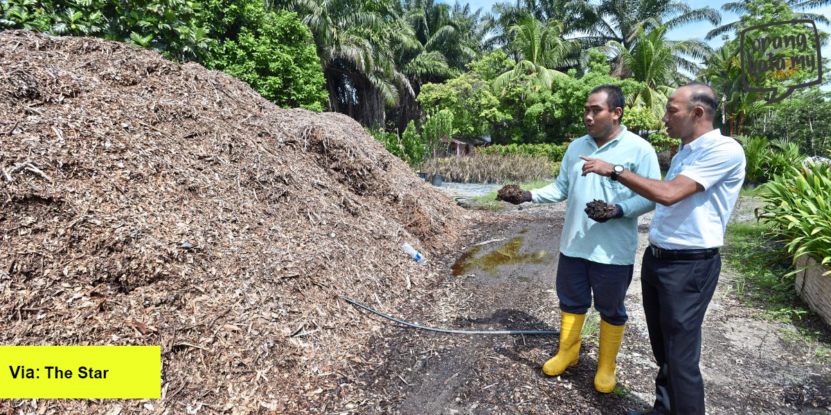 Idea suburkan semula tanah guna pohon kayu, guna semula cara terbaik selamatkan alam