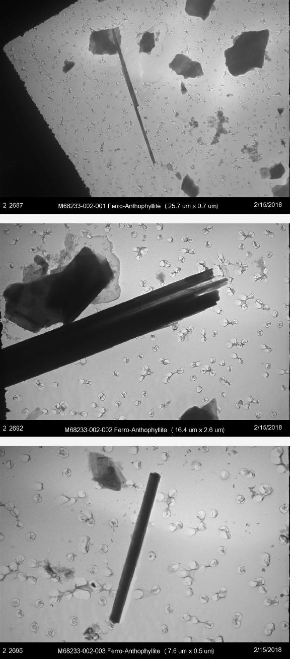 asbestos johnson bedakbayi